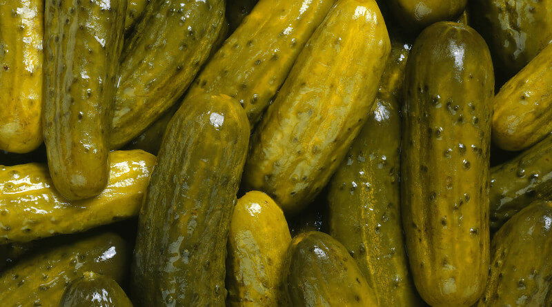 Okurky rychlokvašky