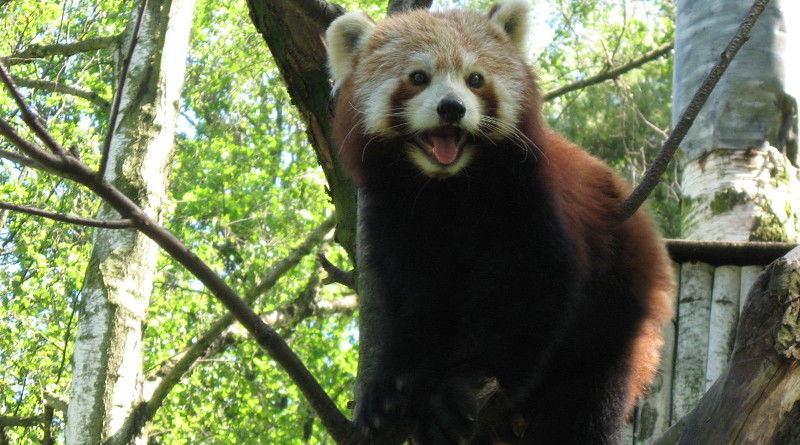 Zoo Ostrava