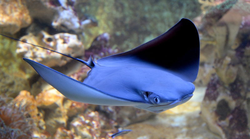 Zoo Olomouc
