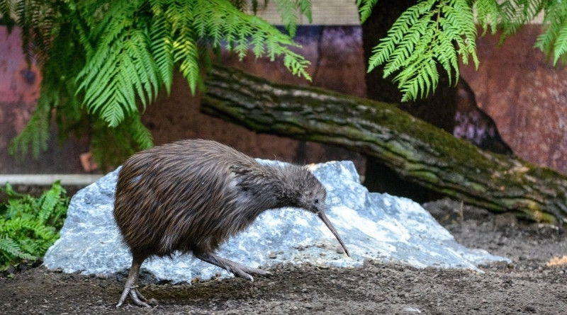 Zoo Zlín