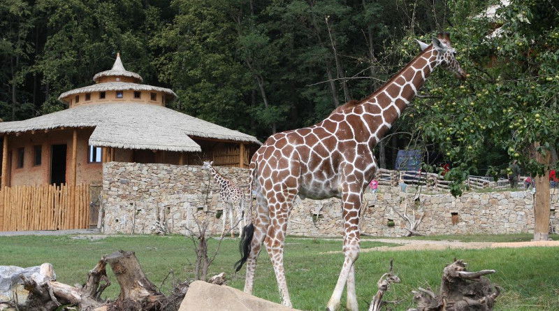 Zoo Jihlava