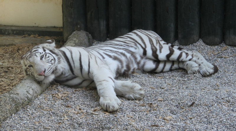 Zoo Liberec